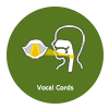 Vocal Cords